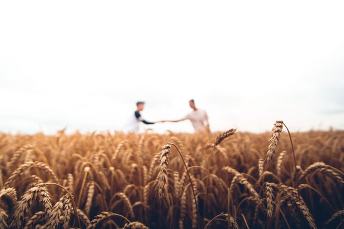 field